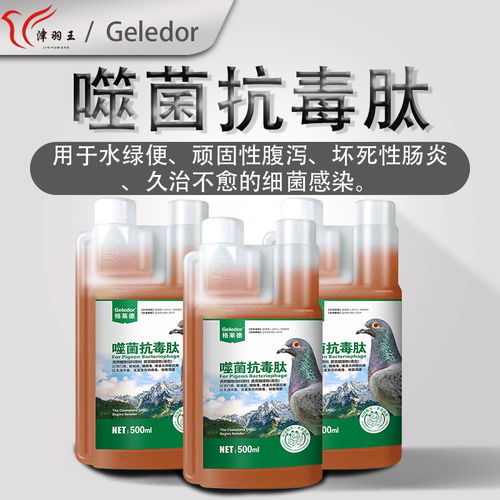 格萊德噬菌抗毒肽 賽鴿健康的守護(hù)神，對付沙門氏、新城疫一網(wǎng)打盡