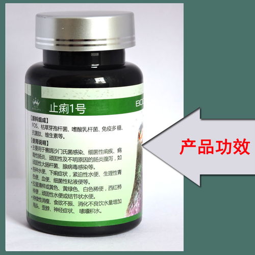 搏冠鴿藥 鴿子水便綠便腹瀉腸炎與沙門氏菌感染的精準(zhǔn)防控方案